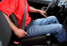 What is the fine for not wearing a seat belt: how much is it and who will pay