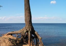 Lake Ladoga and the Road of Life